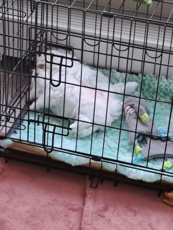 30-8-25 17.58 uur Meisjes eten Graham en Giovanni (bord leeg) in de bench